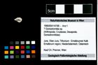 Foto (Objekt + Etikett) von ? Goniodromites sp.  (NHMW-GEO-1990-0041-4788)